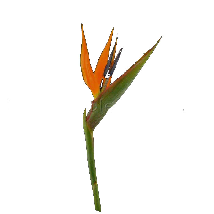 0602